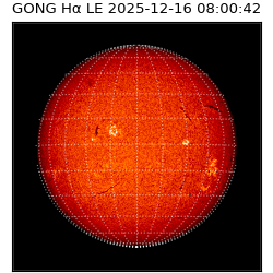 gong - 2025-12-16T08:00:42