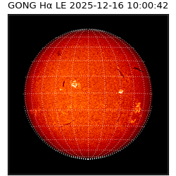 gong - 2025-12-16T10:00:42