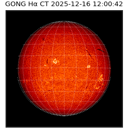 gong - 2025-12-16T12:00:42