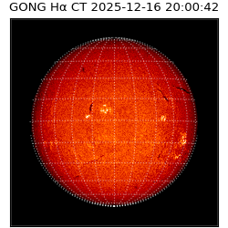 gong - 2025-12-16T20:00:42
