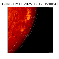 gong - 2025-12-17T05:00:42