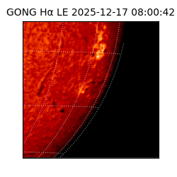 gong - 2025-12-17T08:00:42