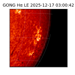 gong - 2025-12-17T03:00:42