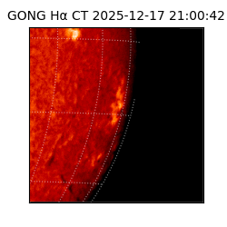 gong - 2025-12-17T21:00:42