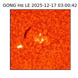 gong - 2025-12-17T03:00:42
