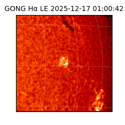 gong - 2025-12-17T01:00:42