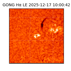 gong - 2025-12-17T10:00:42