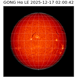 gong - 2025-12-17T02:00:42