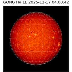 gong - 2025-12-17T04:00:42