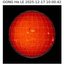 gong - 2025-12-17T10:00:42