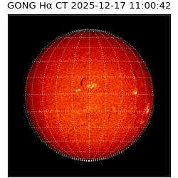 gong - 2025-12-17T11:00:42