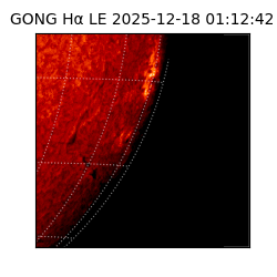 gong - 2025-12-18T01:12:42