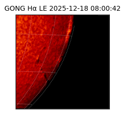 gong - 2025-12-18T08:00:42