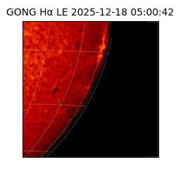 gong - 2025-12-18T05:00:42