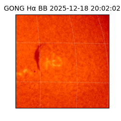 gong - 2025-12-18T20:02:02