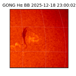 gong - 2025-12-18T23:00:02