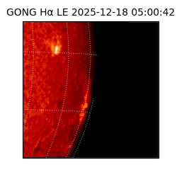 gong - 2025-12-18T05:00:42