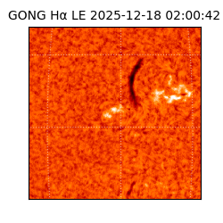 gong - 2025-12-18T02:00:42