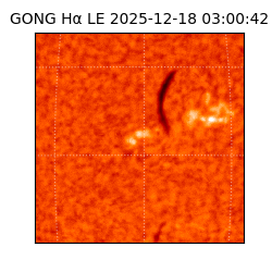 gong - 2025-12-18T03:00:42