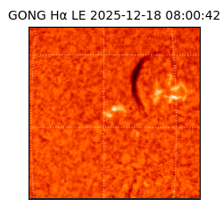 gong - 2025-12-18T08:00:42