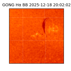 gong - 2025-12-18T20:02:02