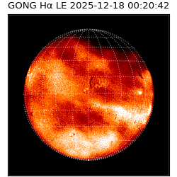 gong - 2025-12-18T00:20:42