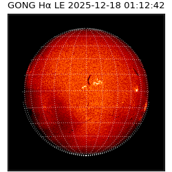 gong - 2025-12-18T01:12:42