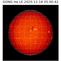gong - 2025-12-18T05:00:42