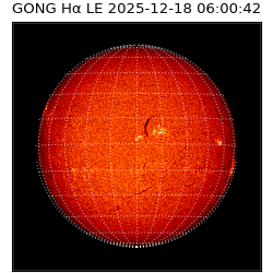 gong - 2025-12-18T06:00:42