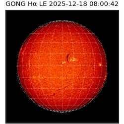 gong - 2025-12-18T08:00:42