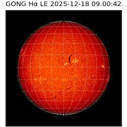 gong - 2025-12-18T09:00:42