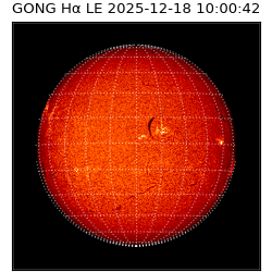gong - 2025-12-18T10:00:42
