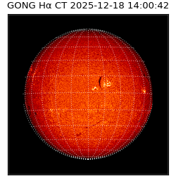 gong - 2025-12-18T14:00:42