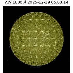 saia - 2025-12-19T05:00:14.132000