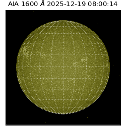 saia - 2025-12-19T08:00:14.125000