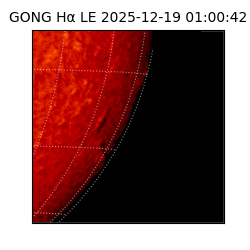gong - 2025-12-19T01:00:42