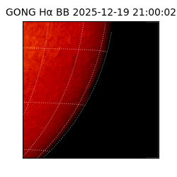 gong - 2025-12-19T21:00:02