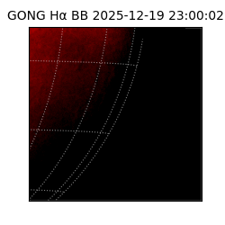 gong - 2025-12-19T23:00:02