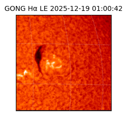 gong - 2025-12-19T01:00:42