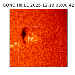 gong - 2025-12-19T03:00:42