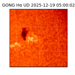 gong - 2025-12-19T05:00:02