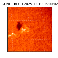 gong - 2025-12-19T06:00:02