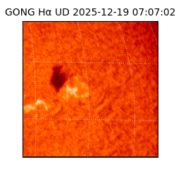 gong - 2025-12-19T07:07:02
