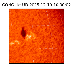 gong - 2025-12-19T10:00:02