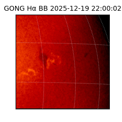 gong - 2025-12-19T22:00:02