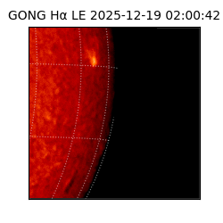 gong - 2025-12-19T02:00:42