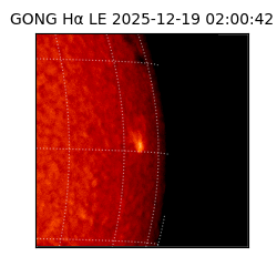 gong - 2025-12-19T02:00:42