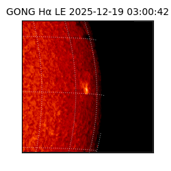 gong - 2025-12-19T03:00:42