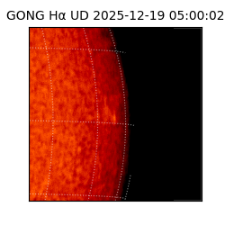 gong - 2025-12-19T05:00:02