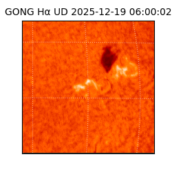 gong - 2025-12-19T06:00:02